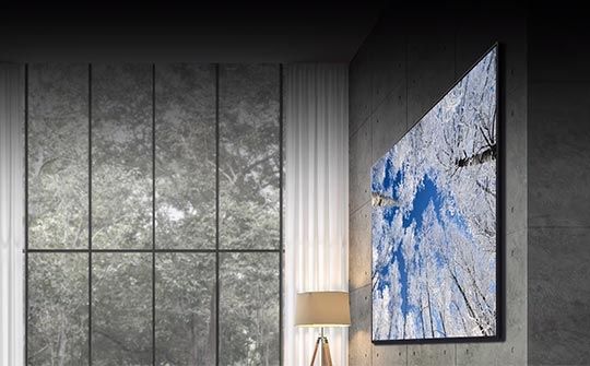 LG 65" 65UR81003LJ | BITĖ